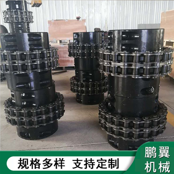 四川加緊式鏈條聯(lián)軸器